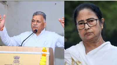  MP minister calls Ram Mohan Roy 'British agent'; TMC hits back