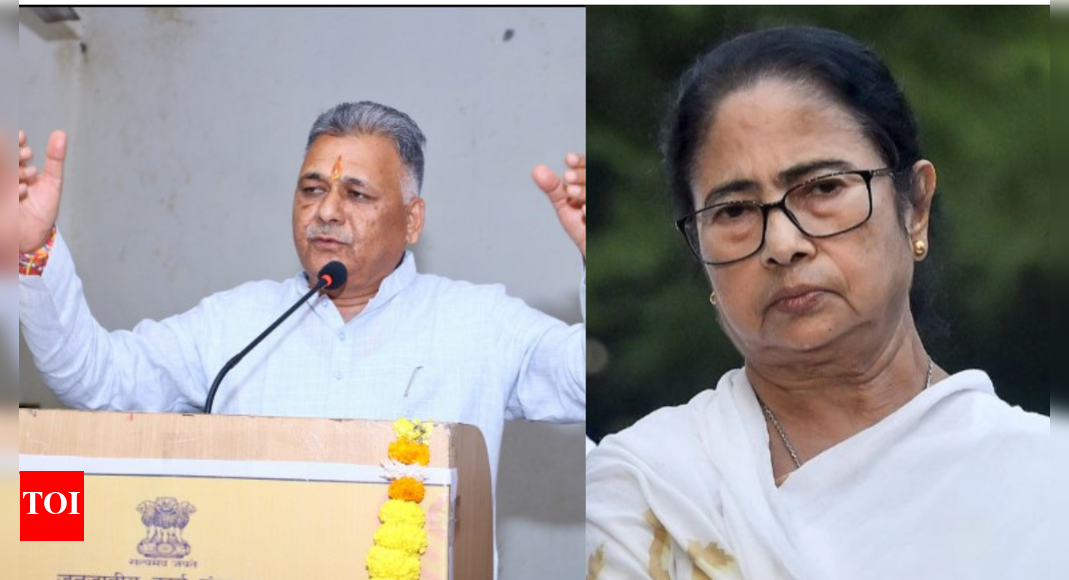 Watch: MP minister calls Ram Mohan Roy 'British agent'; TMC hits back