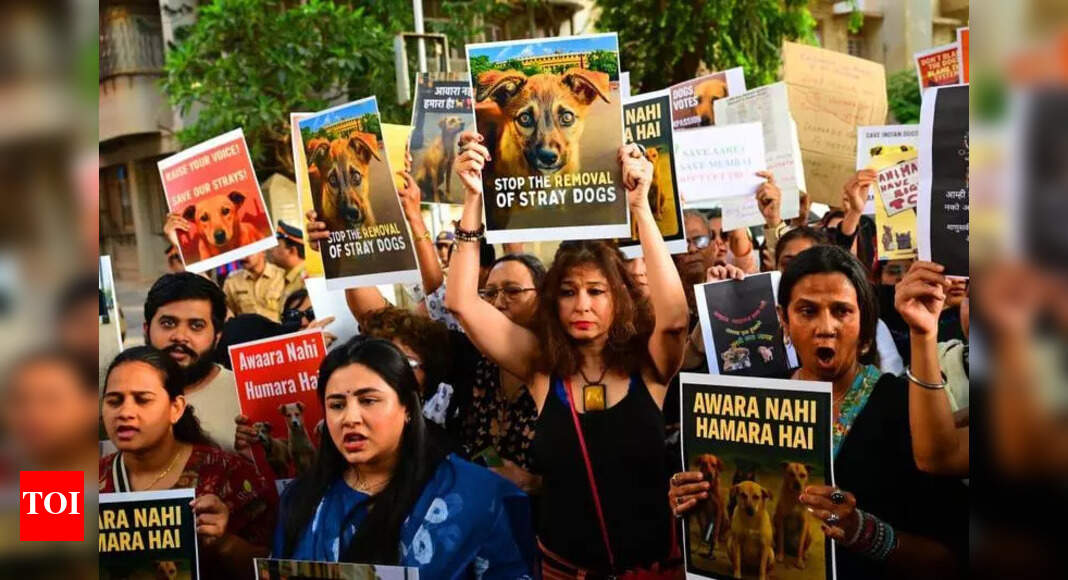 Animal lovers and activists in Mumbai protest Supreme Court order on sheltering stray dogs