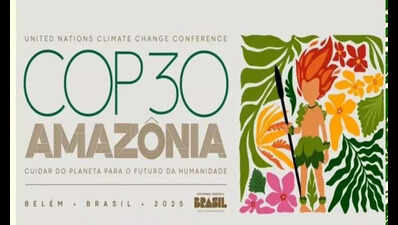 National Institute of Engineering professor takes part in COP30