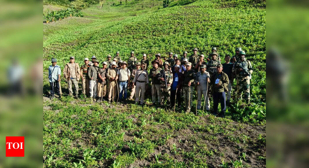 Security forces destroy over 530 acres of poppy cultivation in Manipur over 5 days