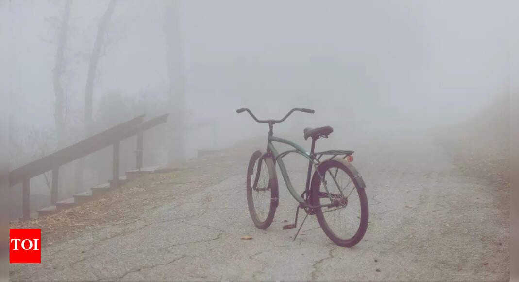 Dry conditions and gradual temperature rise expected this week: IMD