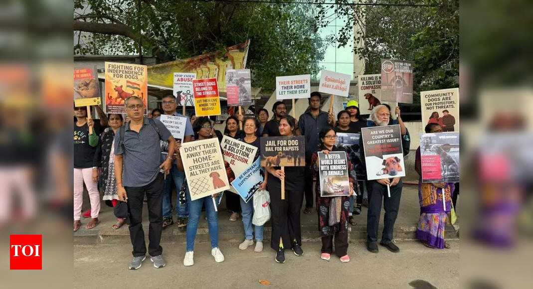 Activists say relocating stray dogs may increase rabies risk