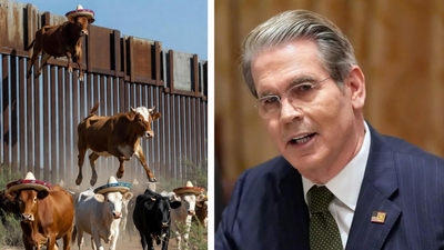 Scott Bessent grilled after giving wild reason for soaring beef prices in US: 'Cows climbing over Trump’s wall'