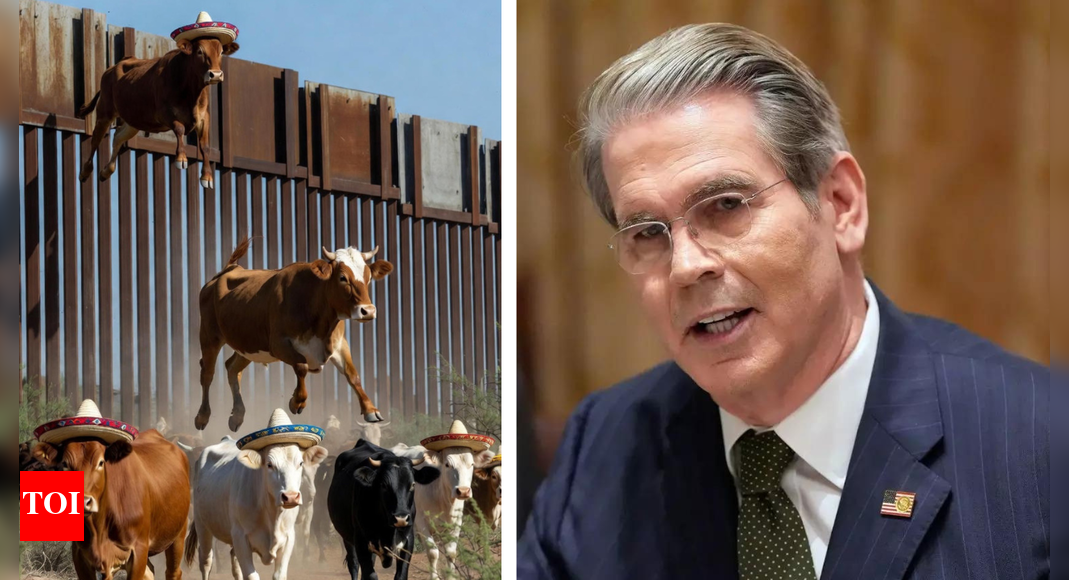 <div>Scott Bessent grilled after giving wild reason for soaring beef prices in US: 'Cows climbing over Trump’s wall'</div>