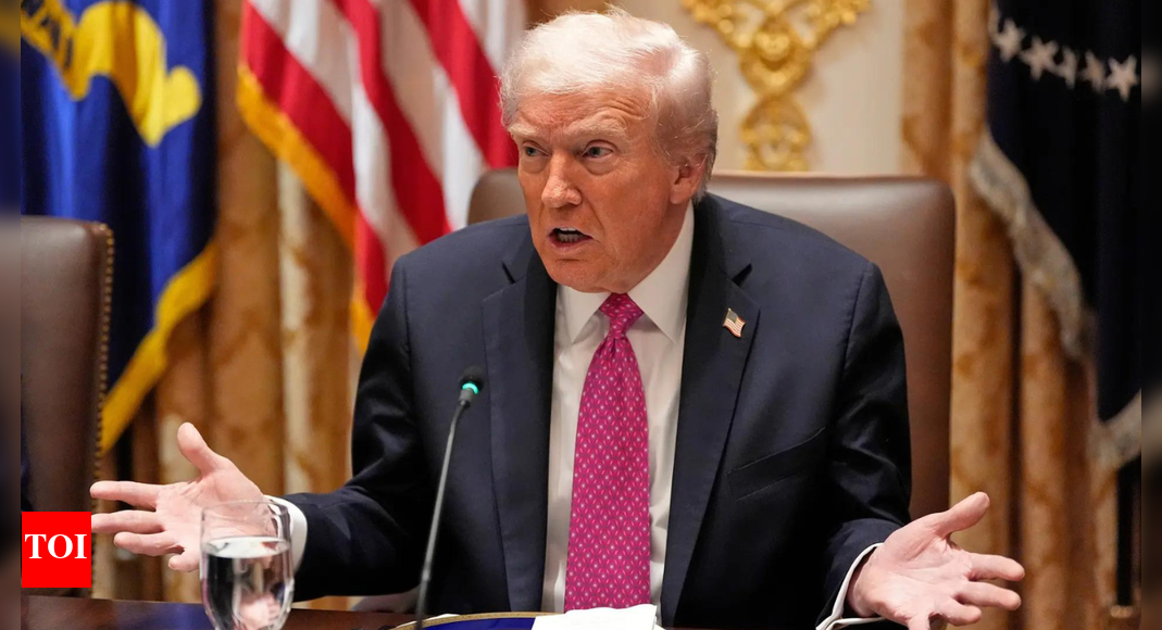 When will Americans get $2,000 tariff dividends? Donald Trump speaks out