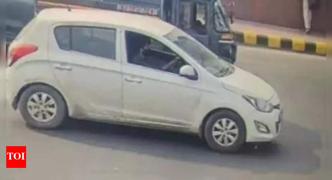 Delhi car blast: Red Fort bomber seen on cam at India Gate, Kartavya Path