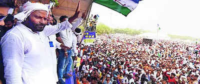 Bihar elections: Smallest member of opposition bloc, but with victory under its belt