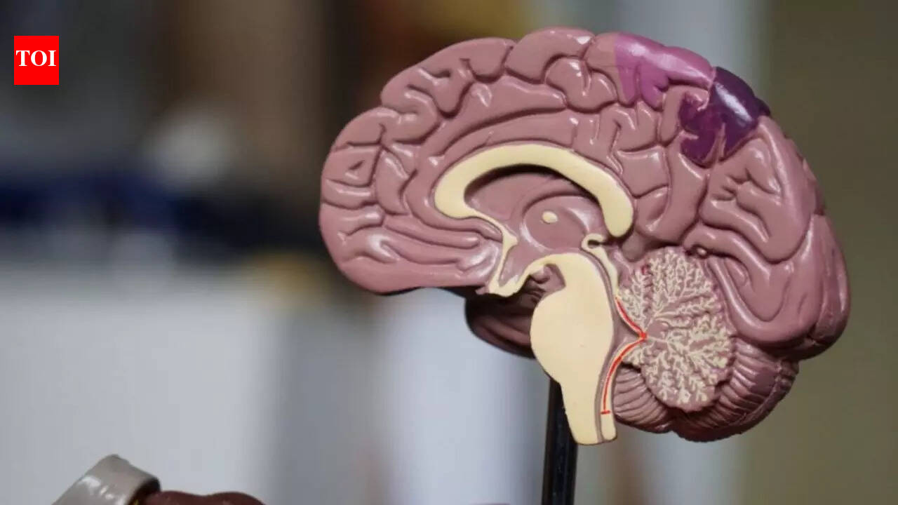 10 proven ways to slow brain aging