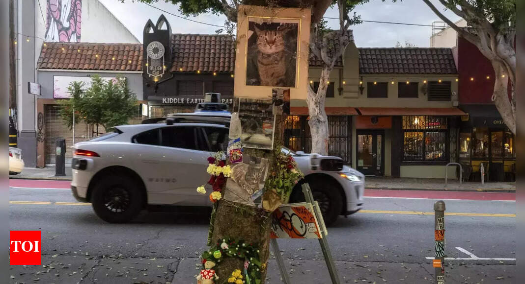 Why death of a cat has 'shaken' San Francisco and is troubling Google's car service Waymo