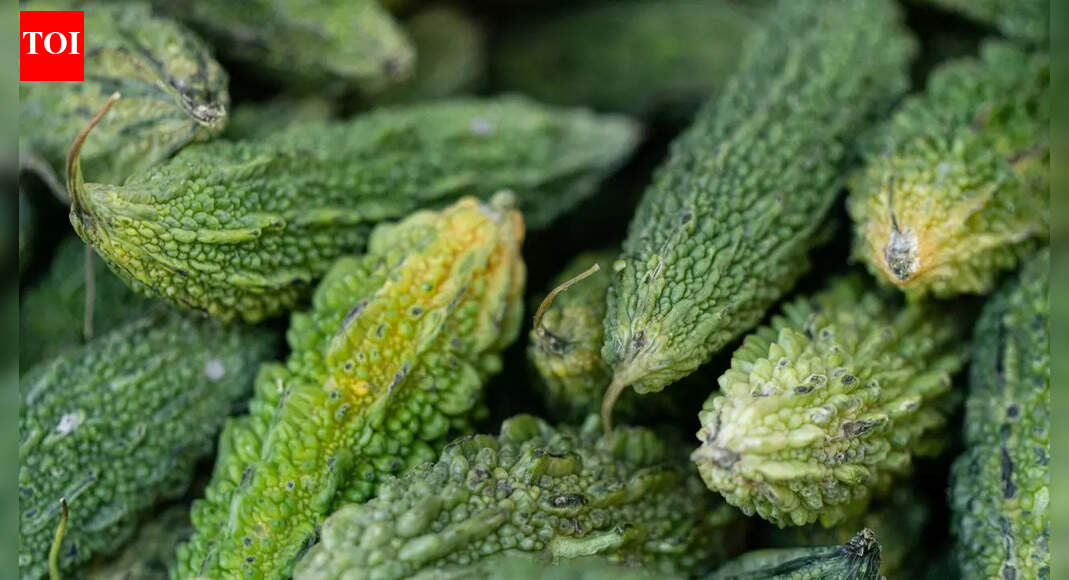 How to grow karela (bitter gourd) from seeds at home in your balcony