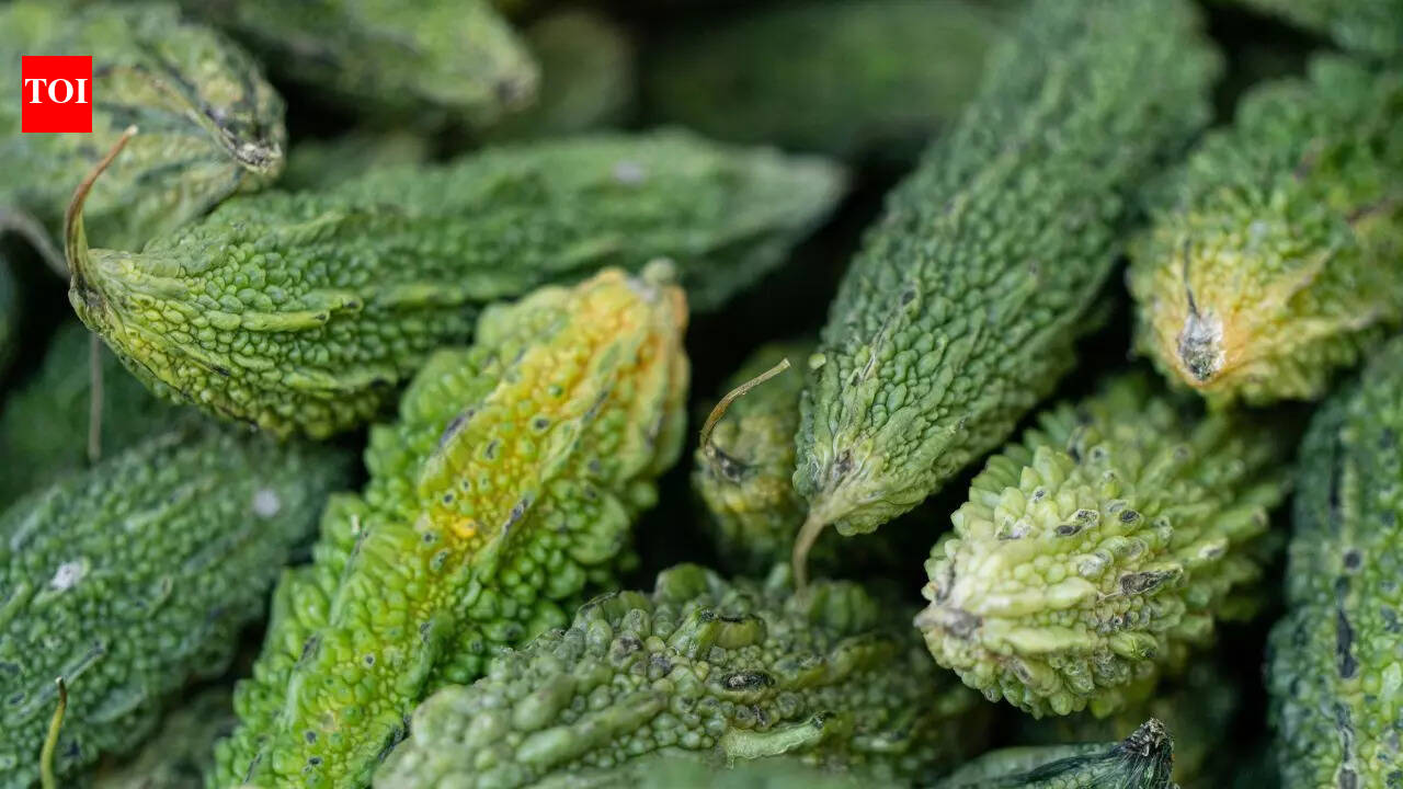 How to grow karela (bitter gourd) from seeds at home in your balcony
