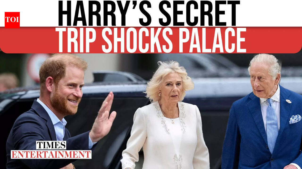 Confusion Explodes Inside Royal Circles As Harry Claims Palace Was Told ...