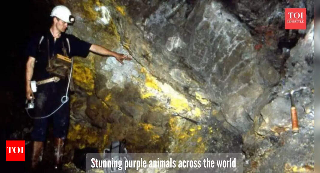 The world’s only 2-billion-year-old natural nuclear reactor: How nature built it even before humans