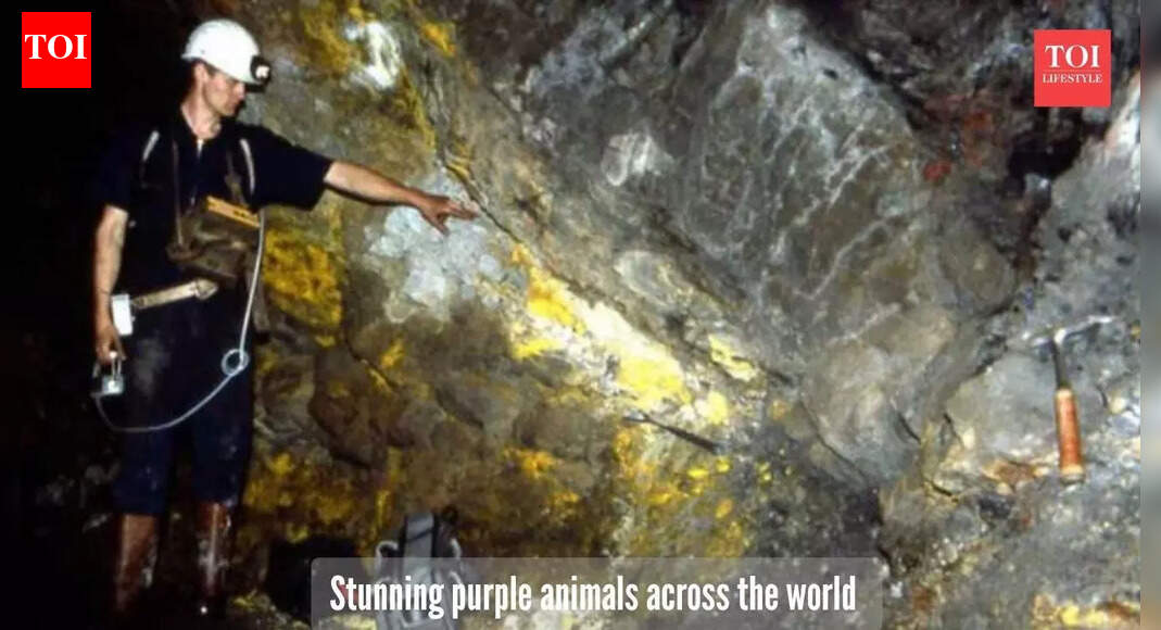 The world's only 2-billion-year-old natural nuclear reactor: How