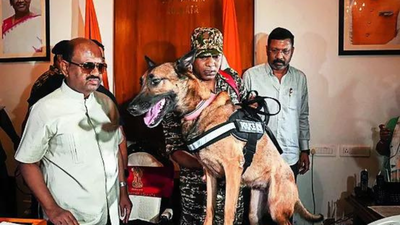 Bengal governor leads search for arms & ammunition at Raj Bhavan