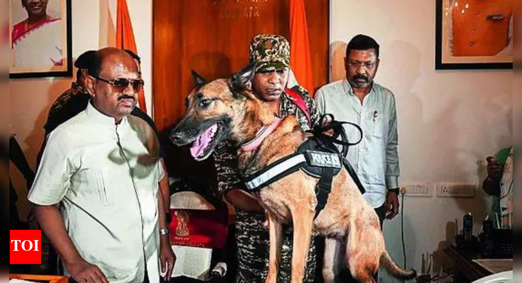 Bengal governor leads search for arms & ammunition at Raj Bhavan