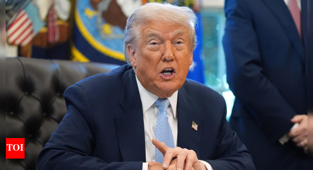 Trump’s Gaza peace plan: UNSC approves US-drafted resolution; Hamas rejects proposal