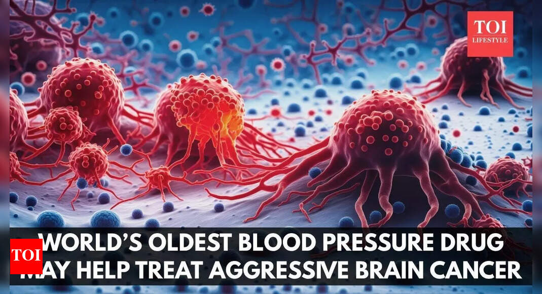World’s oldest blood pressure drug may help treat aggressive brain tumour, study finds