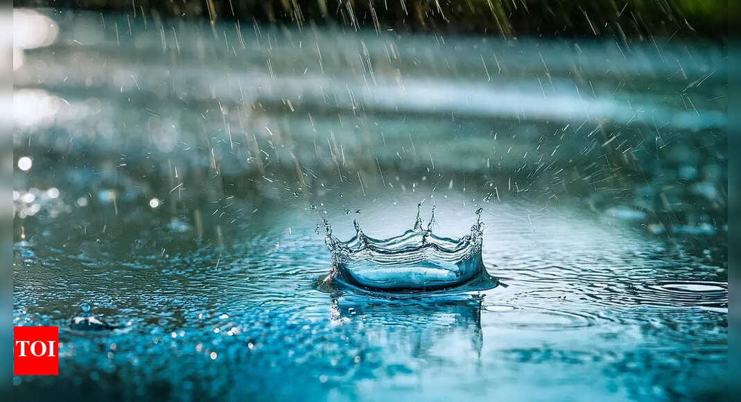 IMD forecasts persistent rainfall for south India; severe cold conditions to sweep through these central states