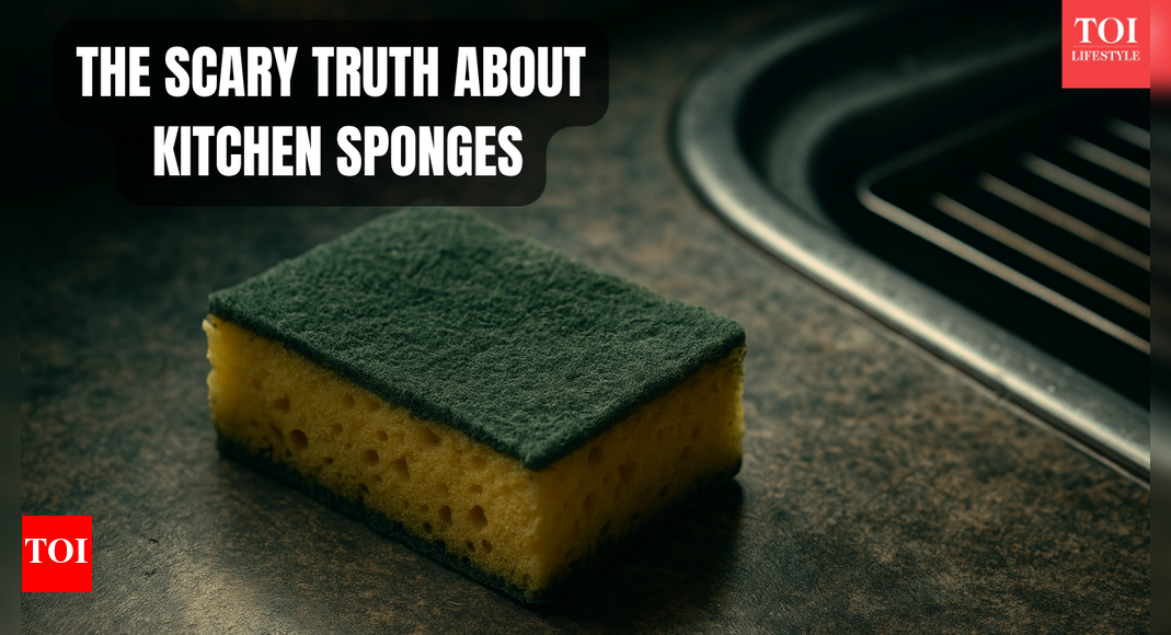 Be aware of your kitchen sponge: What it’s really hiding and how to stay safe