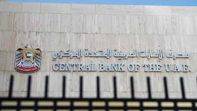 UAE Central Bank new rules for Personal Loan: Now you can apply for a loan without a salary slip