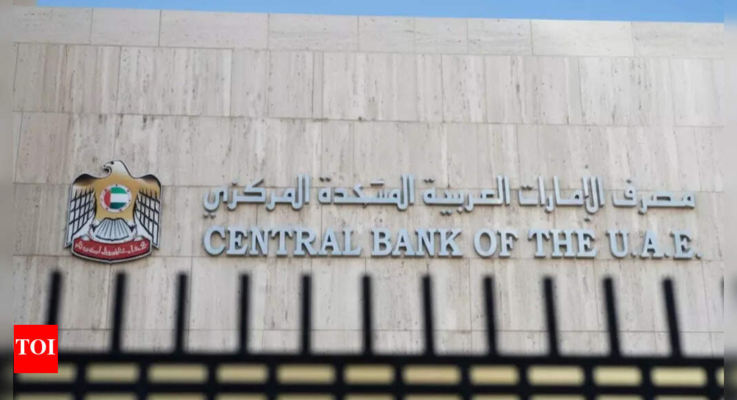 UAE Central Bank new rules for Personal Loan: Now you can apply for a loan without a salary slip