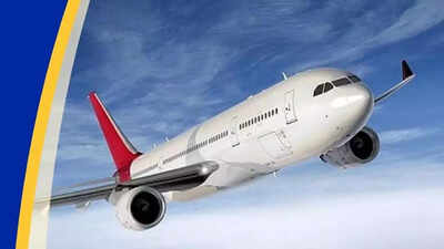  ICRA keeps outlook ‘stable’ as domestic traffic set for modest rise; international flyers projected to grow 13–15%