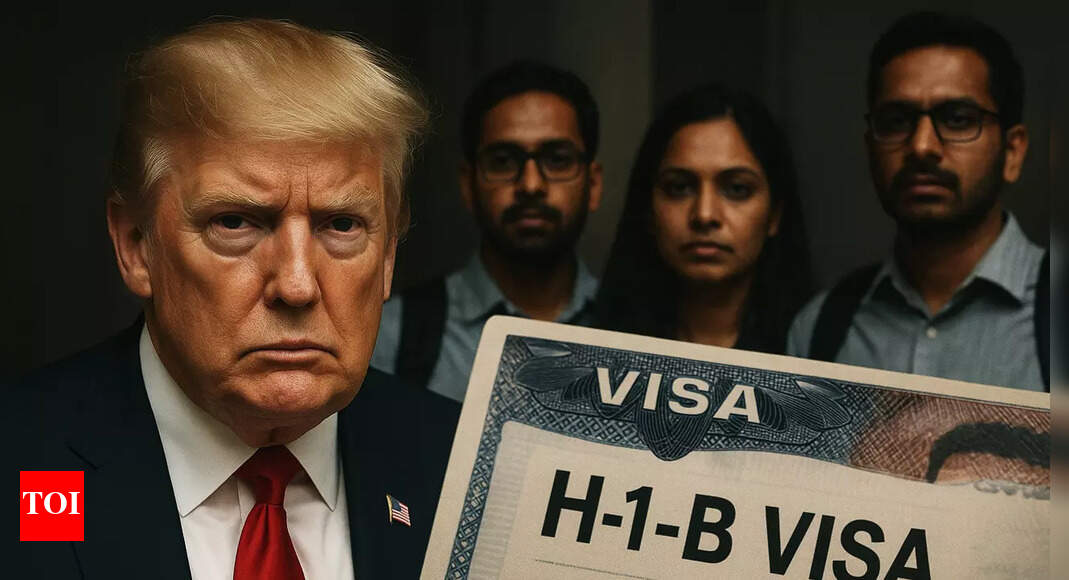 Busting myths! H-1B visa holders are not ‘cheap labour’ – why foreign workers are important for US – The Times of India