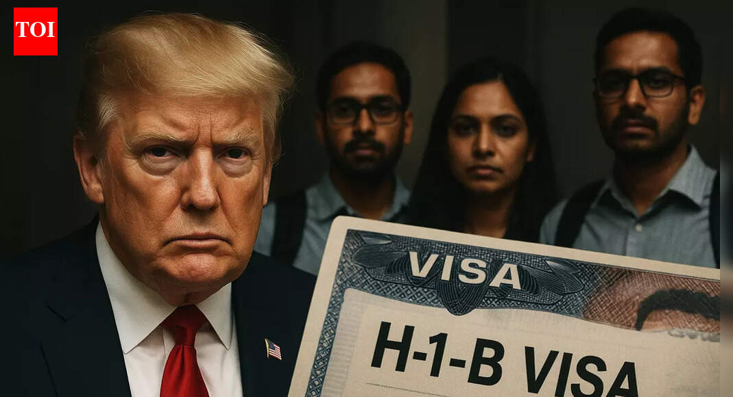 H-1B visa holders are not ‘cheap labour’ - why foreign workers are important for US