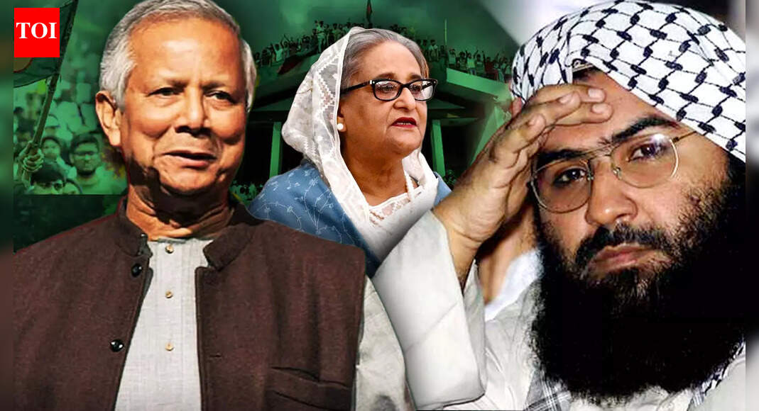 Sheikh Hasina's Close Aide Raises Terror Flag: Pak-based Terror Groups Being Welcomed in Bangladesh