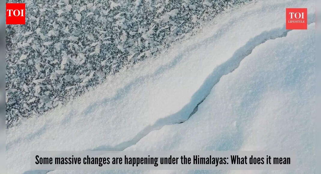 The Indian tectonic plate is splitting deep under the Himalayas: Does it mean more earthquakes?