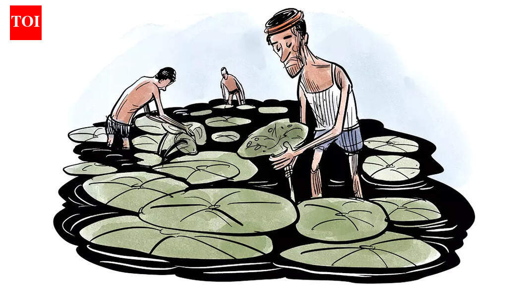 Industry: Makhanas. State: Bihar