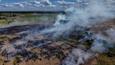 Who is setting fire to the Amazon?