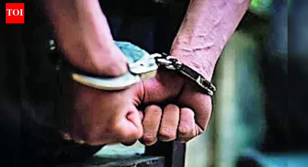 Four held in Patna on charge of gang-raping girl in hotel