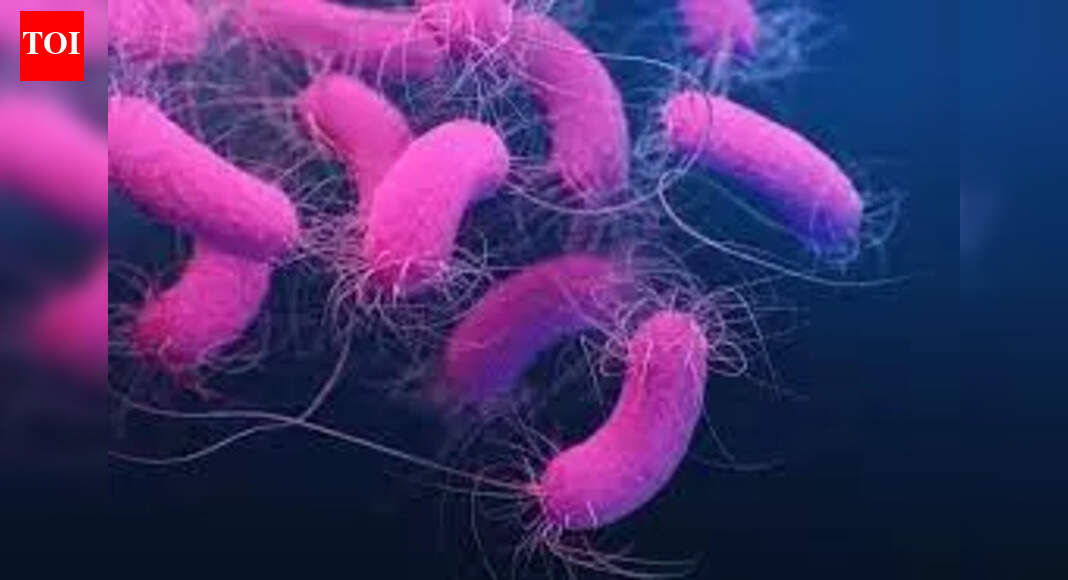 83% Indians carry antibiotic-resistant bacteria, finds study ...