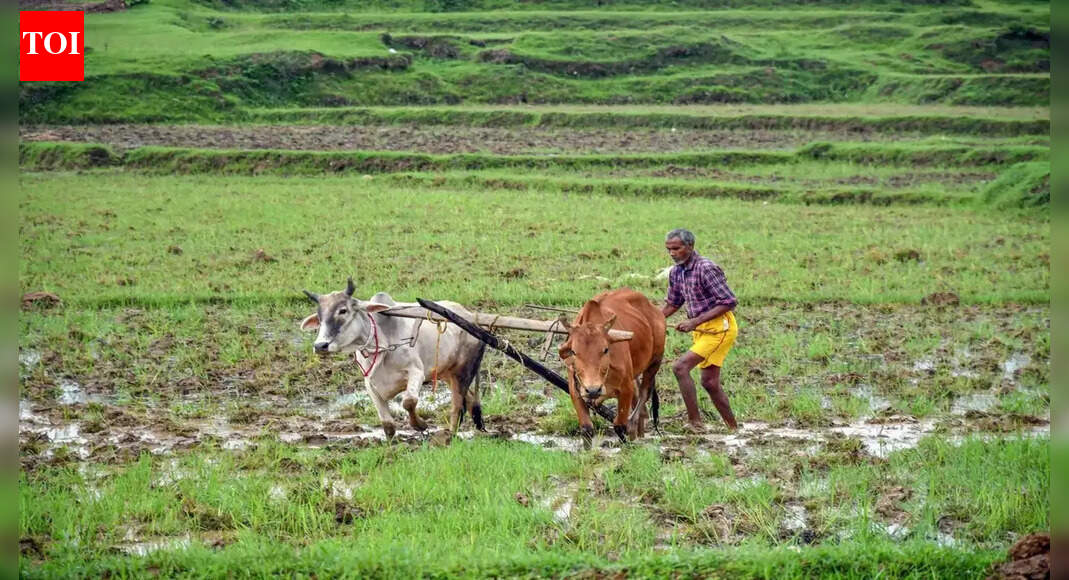 New interest subsidy scheme to benefit Goa's farmers