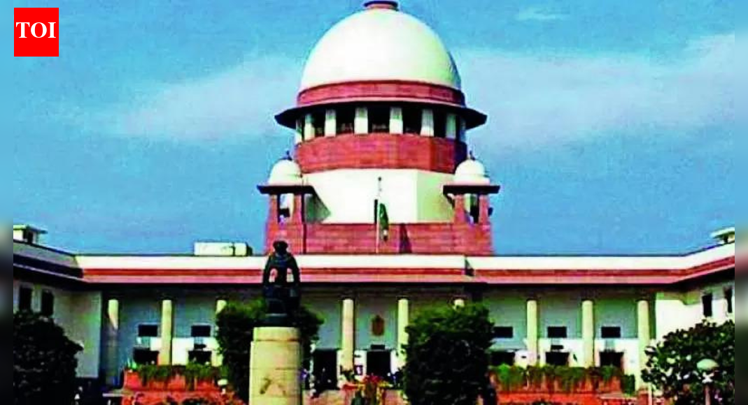 '6-month limit': SC tells govt to speed up NIA cases ; seeks dedicated courts