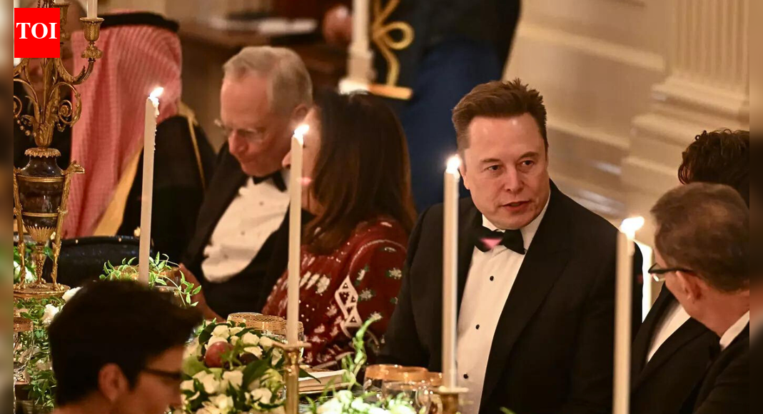 Thaw in ties? Musk at Trump's dinner with Saudi prince; video shows prez giving him brief tap