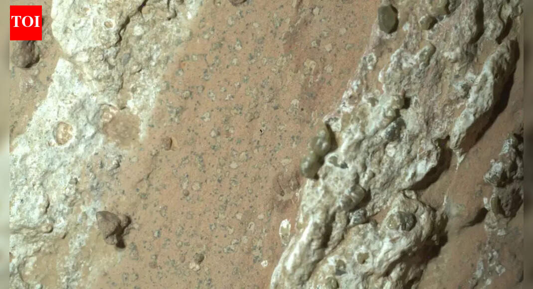 NASA spots weird rock on Mars that should not exist, scientists stunned