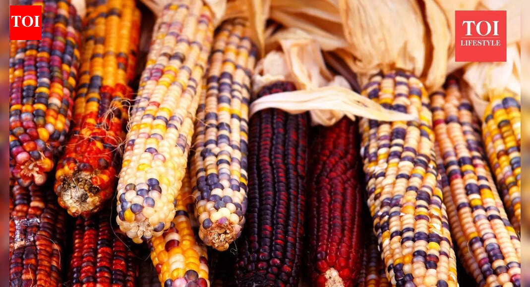 From purple to black: 10 types of corn from across the world