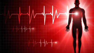 How many times does your heart beat? Discover the science behind lifelong 'thump' of this vital organ