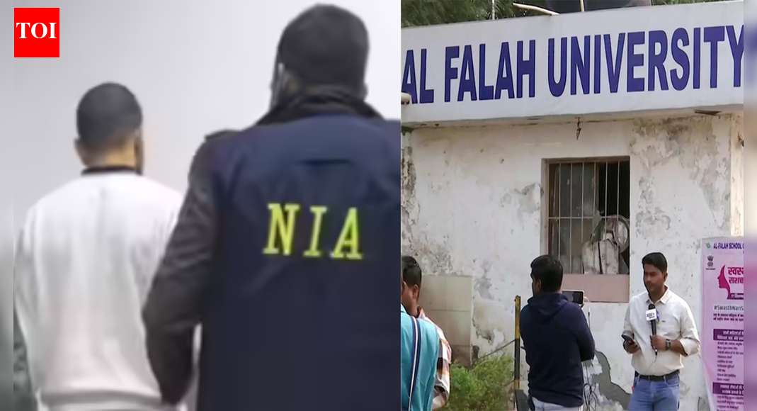 <div>Evening news wrap: NIA seeks 15-day custody of Anmol Bishnoi; Al-Falah University 'duped' students of Rs 415 crore, and more</div>