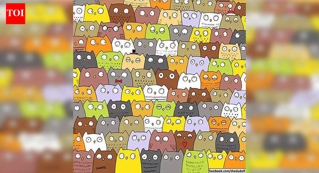 Only people with eagle eyes can spot the cat hidden among owls in 7 seconds
