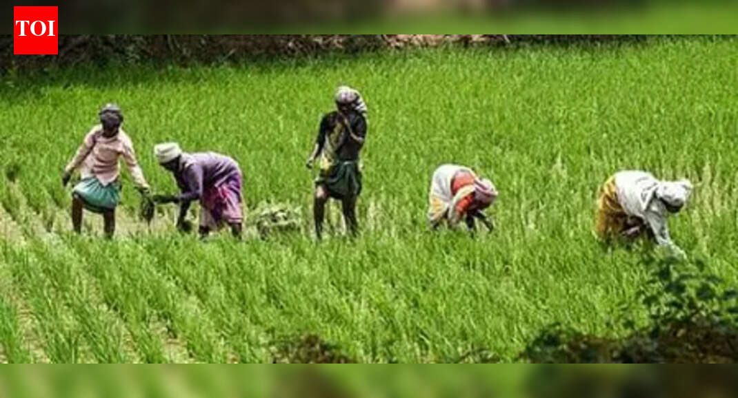 Farmers, civil society bodies urge govt to reject proposed changes in global plant genetic resources treaty