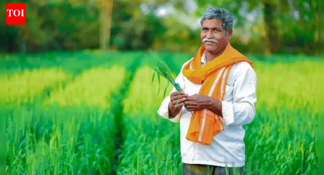 PM Kisan 21st installment today: Eligible farmers receive Rs 2,000; how to track status & beneficiaries