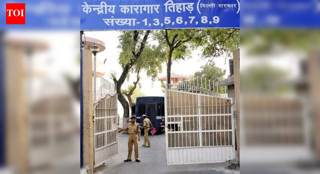 Deported From US, Anmol Bishnoi Lands In Delhi, Is Arrested By NIA