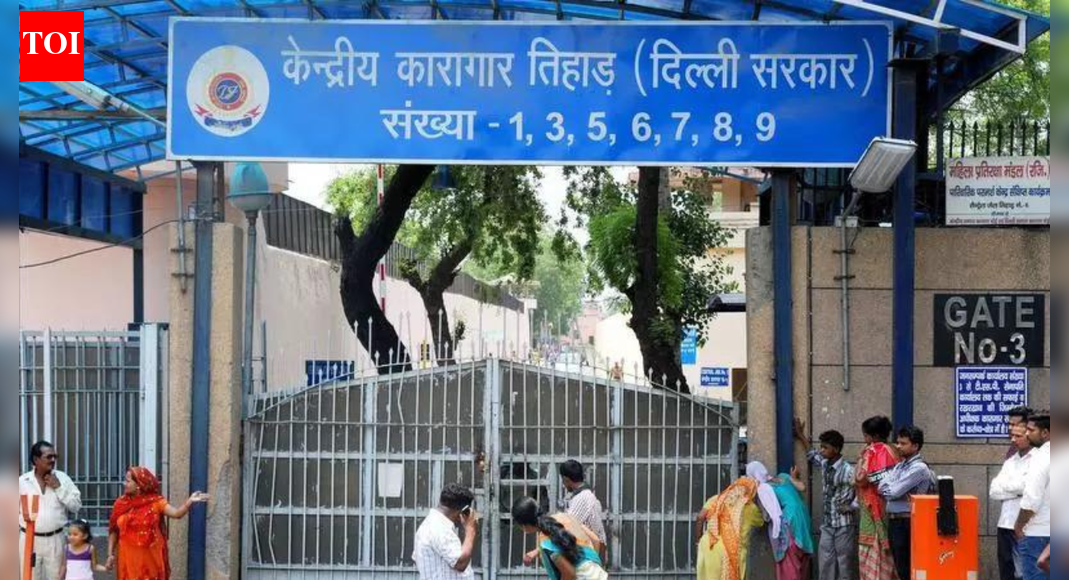 Cattle for company: Tihar opens cowshed; ‘cow therapy’ to help inmate wellbeing