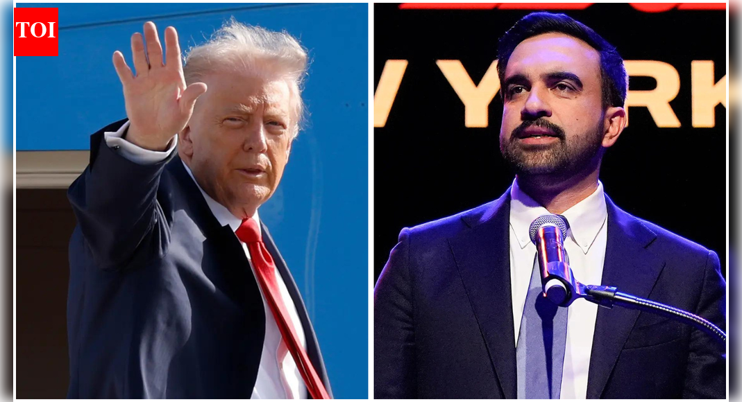 <div>'He asked, we agreed': Trump to meet NYC mayor Zohran Mamdani — what's on agenda?</div>