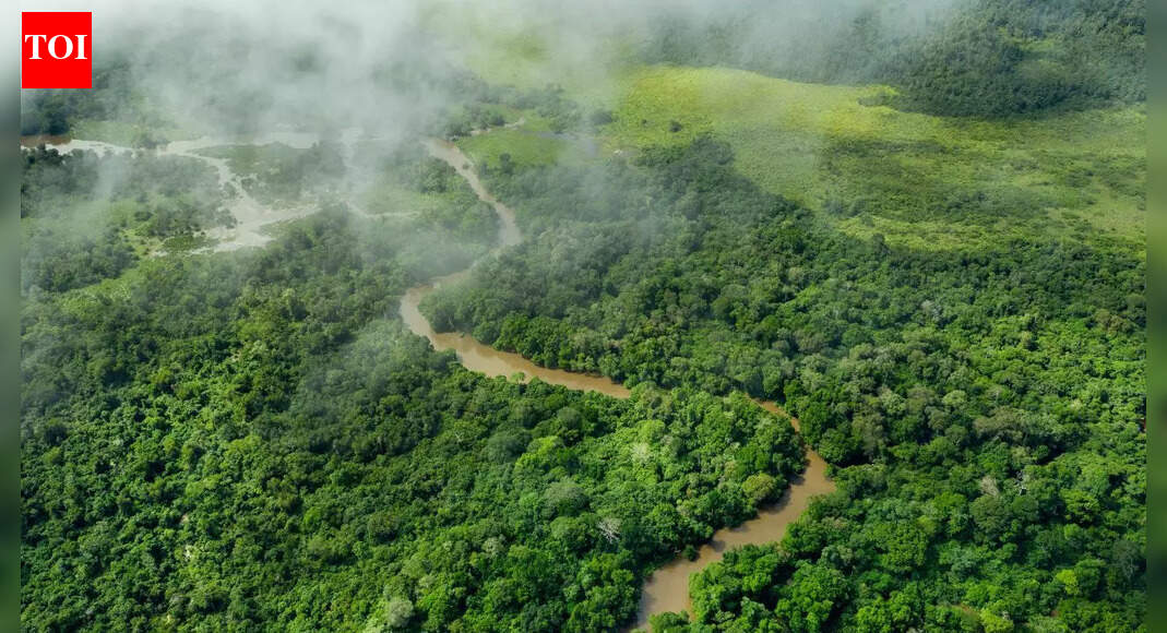 Which river crosses the Equator twice: The unique journey and geography of the Congo River